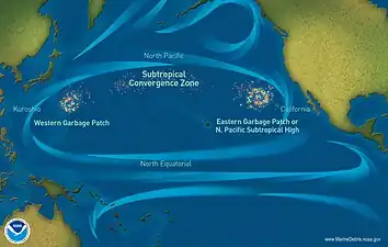 Vast plastic garbage patches like the Great Pacific Garbage Patch have accumulated at the centre of ocean gyres.