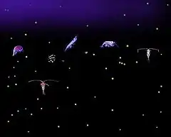 Six relatively large variously shaped organisms with dozens of small light-colored dots all against a dark background. Some of the organisms have antennae that are longer than their bodies.