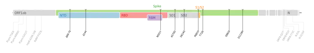 Amino acid mutations of SARS-CoV-2 Alpha variant plotted on a genome map of SARS-CoV-2 with a focus on Spike.