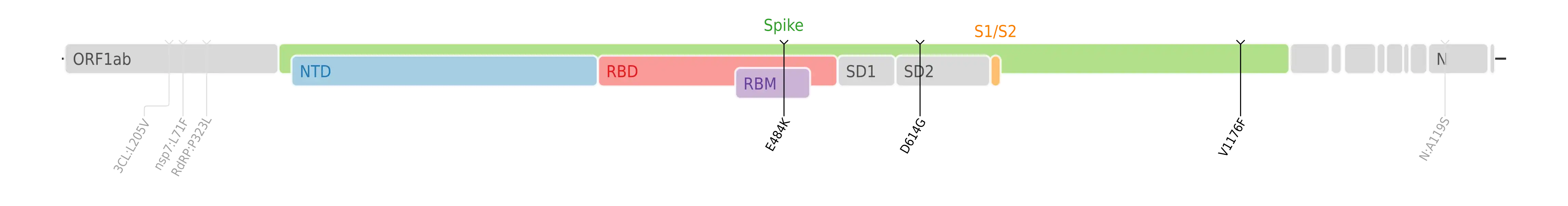 Amino acid mutations of SARS-CoV-2 Zeta variant plotted on a genome map of SARS-CoV-2 with a focus on the spike.