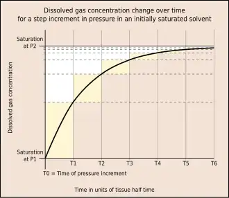 Graph showing dissolved gas concentration change over time for a step pressure increment in an initially saturated solvent