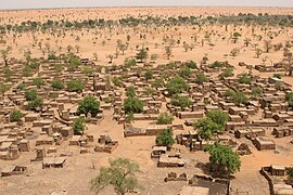 Environmental migration. Sparser rainfall leads to desertification that harms agriculture and can displace populations. Shown: Telly, Mali (2008).