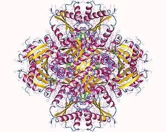 Image of 1J2Y DHQD dodekamer +12 DQA (green). (Created using Molmol)