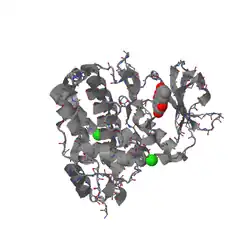 3bqc: View PF0069 # Catalytic Subunit of Human Protein Kinase CK2 Structurally 1zrz Deviates from Its# Maize Homologue in Complex (PMID&nbsp;12021392)