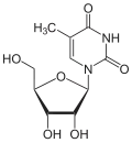 Chemical structure of 5-methyluridine