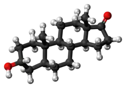 Ball-and-stick model of the androsterone molecule