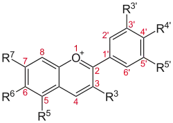 Basic structure of Anthocyans: The flavio-cation