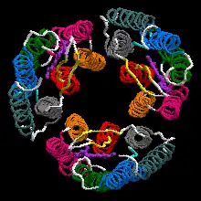 Bacteriorhodopsin trimer with one retinal molecule in each subunit seen from the extracellular side EC (PDB ID: 1X0S )