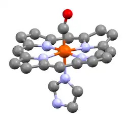A heme unit of human carboxyhaemoglobin, showing the carbonyl ligand at the apical position, trans to the histidine residue.