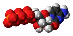 Space-filling model of the cytidine triphosphate molecule as an anion (4- charge)