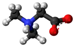 Ball-and-stick model of the dimethylglycine molecule as a zwitterion