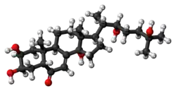 Ball-and-stick model of the ecdysone molecule