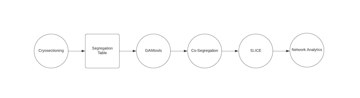 flowchart showing a general process of GAM data analysis.  Circles represent a process and squares represent data.