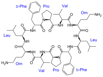 Structural formula of Gramicidin S