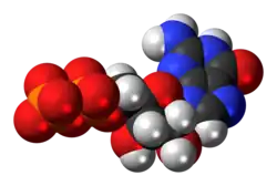 Space-filling model of the guanosine diphosphate anion