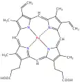 Heme group of hemoglobin with a porphin macrocycle.