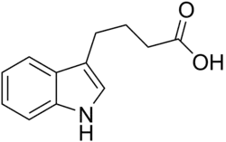 Skeletal structure diagram
