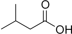 Skeletal formula of 3-methylbutanoic acid