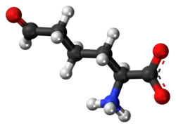 Ball-and-stick model of the L-allysine molecule as a zwitteiron
