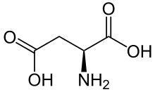 L-Aspartic acid(Asp / D)