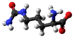 Ball and stick model of zwitterionic citrulline