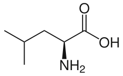 L-Leucine(Leu / L)