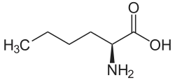 norleucine (n-butyl side-chain)