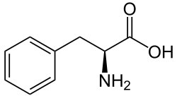 L-Phenylalanine(Phe / F)