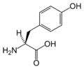 Tyrosine