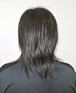 Chinese-Indonesian man with black hair from behind.