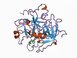 1a3e: COMPLEX OF HUMAN ALPHA-THROMBIN WITH THE BIFUNCTIONAL BORONATE INHIBITOR BOROLOG2