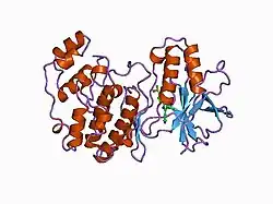 1a9u: The complex structure of the MAP kinase p38/SB203580