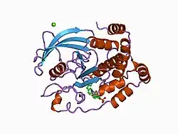 1aax: CRYSTAL STRUCTURE OF PROTEIN TYROSINE PHOSPHATASE 1B COMPLEXED WITH TWO BIS(PARA-PHOSPHOPHENYL)METHANE (BPPM) MOLECULES