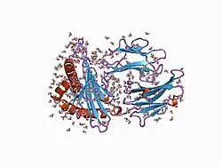 1agf: ANTAGONIST HIV-1 GAG PEPTIDES INDUCE STRUCTURAL CHANGES IN HLA B8-HIV-1 GAG PEPTIDE (GGKKRYKL-5R MUTATION)