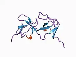 1aoj: THE SH3 DOMAIN OF EPS8 EXISTS AS A NOVEL INTERTWINED DIMER