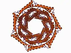 1avo: PROTEASOME ACTIVATOR REG(ALPHA)