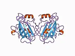 1bd9: HUMAN PHOSPHATIDYLETHANOLAMINE BINDING PROTEIN