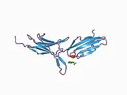 1bqs: THE CRYSTAL STRUCTURE OF MUCOSAL ADDRESSIN CELL ADHESION MOLECULE-1 (MADCAM-1)