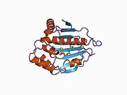 1byq: HSP90 N-TERMINAL DOMAIN BOUND TO ADP-MG