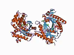 1cjk: COMPLEX OF GS-ALPHA WITH THE CATALYTIC DOMAINS OF MAMMALIAN ADENYLYL CYCLASE: COMPLEX WITH ADENOSINE 5'-(ALPHA THIO)-TRIPHOSPHATE (RP), MG, AND MN