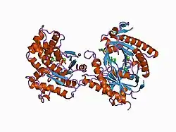 1cjv: COMPLEX OF GS-ALPHA WITH THE CATALYTIC DOMAINS OF MAMMALIAN ADENYLYL CYCLASE: COMPLEX WITH BETA-L-2',3'-DIDEOXYATP, MG, AND ZN