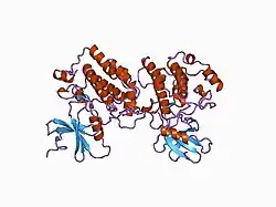 1cki: RECOMBINANT CASEIN KINASE I DELTA TRUNCATION MUTANT CONTAINING RESIDUES 1-317