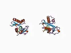 1cm0: CRYSTAL STRUCTURE OF THE PCAF/COENZYME-A COMPLEX