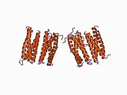 1cnt: CILIARY NEUROTROPHIC FACTOR