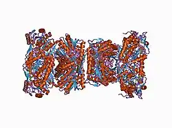 1cw3: HUMAN MITOCHONDRIAL ALDEHYDE DEHYDROGENASE COMPLEXED WITH NAD+ AND MN2+