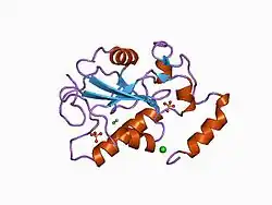 1cwt: HUMAN CDC25B CATALYTIC DOMAIN WITH METHYL MERCURY