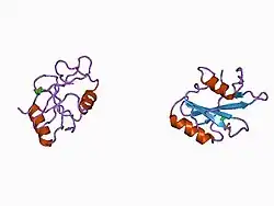 1d4w: CRYSTAL STRUCTURE OF THE XLP PROTEIN SAP IN COMPLEX WITH SLAM PHOSPHOPEPTIDE