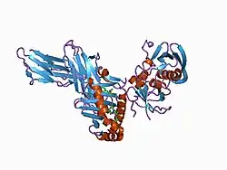1d5z: X-RAY CRYSTAL STRUCTURE OF HLA-DR4 COMPLEXED WITH PEPTIDOMIMETIC AND SEB