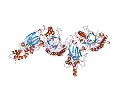 1dji: PHOSPHOINOSITIDE-SPECIFIC PHOSPHOLIPASE C-DELTA1 FROM RAT COMPLEXED WITH CALCIUM
