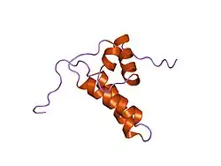 1dk3: REFINED SOLUTION STRUCTURE OF THE N-TERMINAL DOMAIN OF DNA POLYMERASE BETA